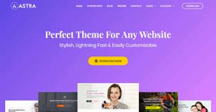 Astra theme
