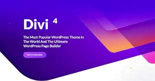 Divi theme